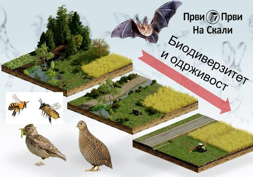 Stanište: Agroekološke mere u Srbiji - rezultati istraživanja